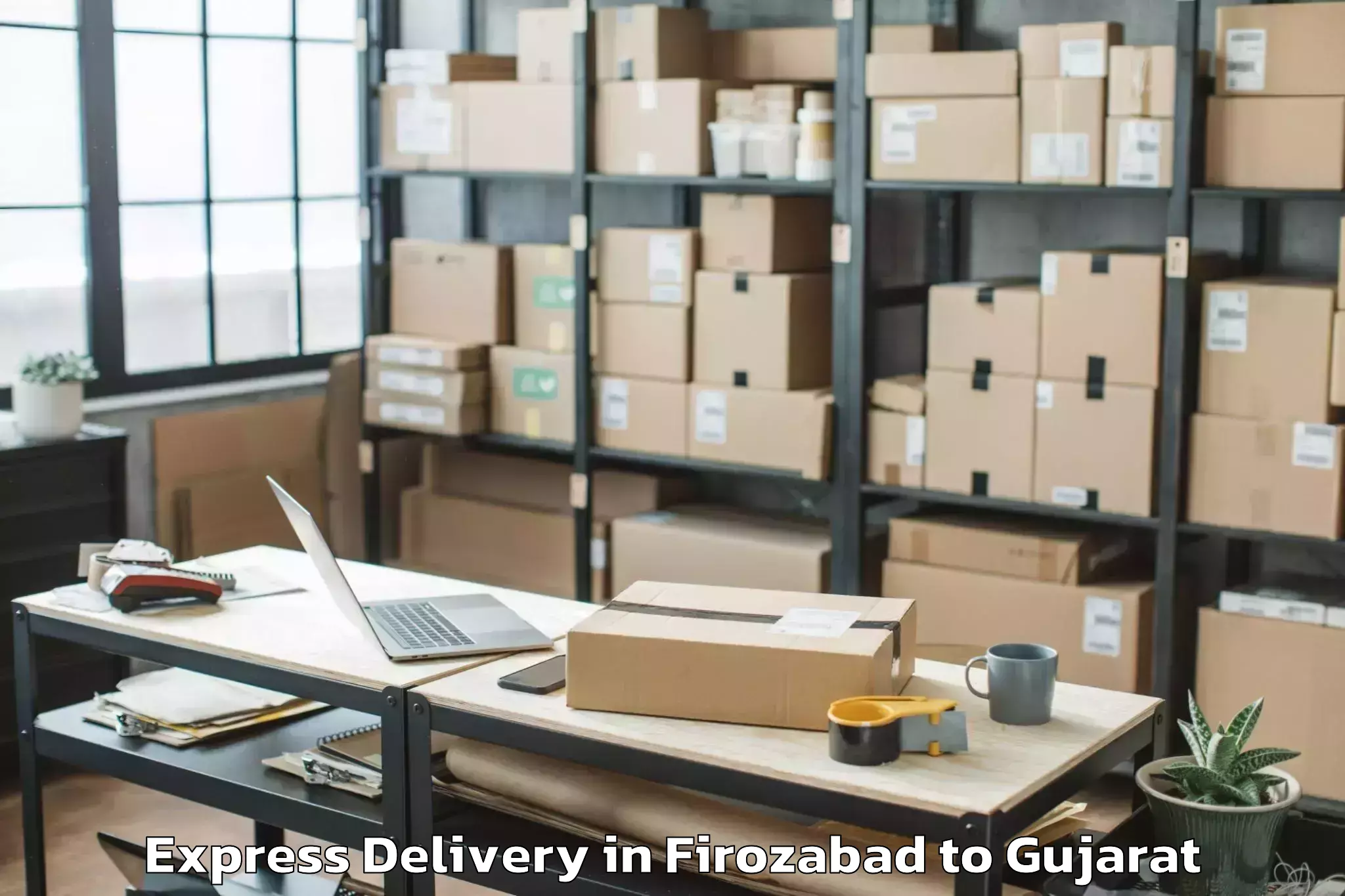 Firozabad to Vyara Express Delivery